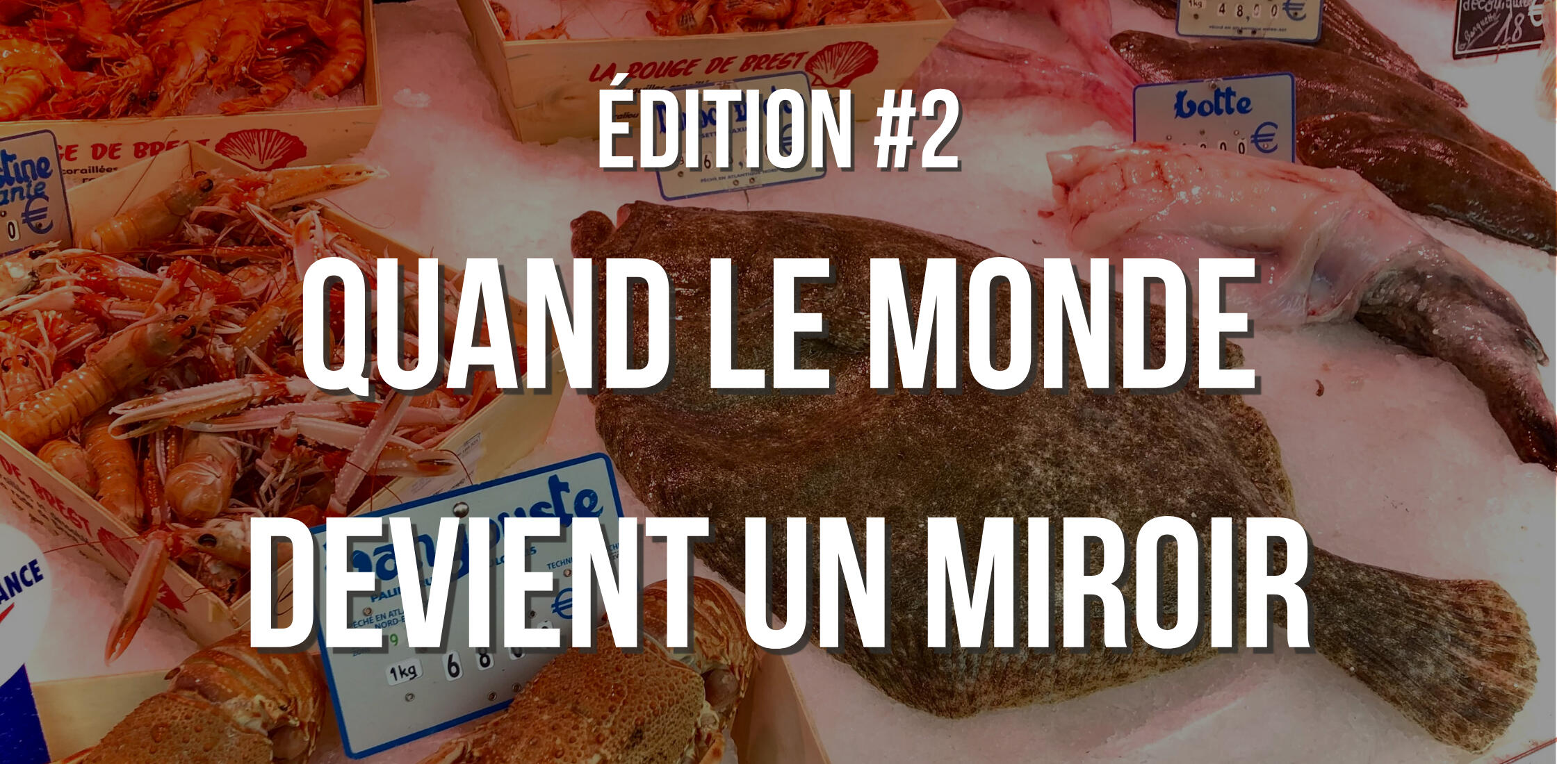 Quand le monde devient un miroir